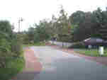 Baumtor, Bild 6 >> Vergrerung?