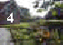 Vorgarten