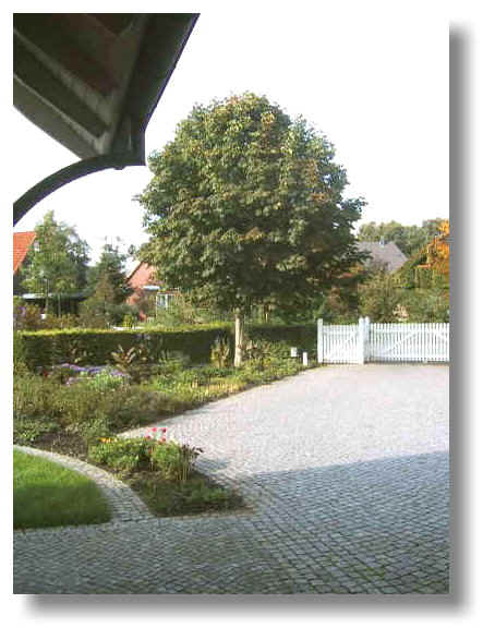 Der Empfangsbereich >> nächstes Bild?